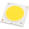 Aexit DC 30-33V 20W 25mmx22,5mm COB LED Chip Super Bright Beads Neutral Light bianco ID: 138687