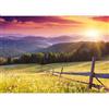 murando PREMIUM Carta da parati Paesaggio Montagna 500x350 cm Fotomurali in TNT Murale alla moda Decorazione da Muro XXL Poster Gigante Design Carta per pareti Prato Foresta Natura c-B-0538-a-a