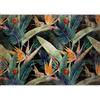 murando Carta da parati Fogli 500x350 cm Fotomurali in TNT Murale alla moda Decorazione da Muro XXL Poster Gigante Design Cameretta Carta per Pareti Soggiorno tropicale Natura Botanico b-C-10042-a-a