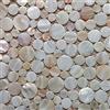 HaiDe Tile Casuale Naturale Penny Round Shell Mosaico Piastrella Madre della Perla Cucina Backsplash Bagno Sfondo Doccia Piastrel