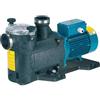 CALPEDA ELETTROPOMPA PER PISCINA MPCM 11 HP 0,5 VOLT 220 CALPEDA