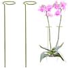ODOXIA 2 Sostegni Per Piante | Supporti Per Piante Alte e Fiori | Paletti Giardino | Aiuta Le Tue Piante a Crescere | Sostegni Piante Pomodori | Paletti Per Orchidee, Amarilli, Peonie e Piante Peperoncini