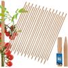 KOTARBAU® 25 Pezzi Pali in Legno - 100 cm - Pali per Pomodori - Legno di Faggio - Naturale - Tutore per Piante - Bastoni per Pomodori - Stecche per Piante - Robusti