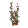 COSTWAY Traliccio per Rampicanti Metallo con Ripiano Pieghevole, Graticcio per Piante da Esterno, Griglia per Piante Rampicanti per Giardino, Cortile e Patio, 50 x 30 x 189,5 cm (Bianco,1)