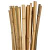 Virsus Canne di Bambù Naturale 7342, Lunghe 150 cm, diametro 12-14 mm, Sostegno per piante Rampicanti, Ortaggi, Pomodori, per giardino, orto, per arredamento, strutture, decorazioni (50)