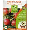 PRESTO BIO Trappola a ferormoni per la Cattura di Vari Insetti Completa con Due Capsule di ferormoni specifici (Verme delle Mele PERE E Noci)