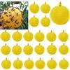 yikkiykk 30 pezzi cattura moscerino interno, palla trappola a mosche sospese, trappole per insetti, trappole per insetti, trappola per mosche, cattura mosche per frutta, cattura parassiti all'aperto, cattura