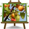 EURO PLANTS VIVAI Albicocco Bella Venosta pianta da frutto su vaso 22-24 cmAltezza 180-200 cm - Età 4 anni