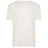 dolcecasabiancheria Ragno Maglia Intima Uomo, Manica Corta,Canotta Lana Cotone sintonia, 8-XXXL 065457