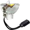 RWEQUTES Lampada for ELPLP50 ELPLP53 ELPLP54 ELPLP57 ELPLP58 ELPLP60 ELPLP61 ELPLP67 ELPLP68(More Quality lamp)