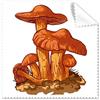 DIYthinker Cute arancione fungo creature Illustration occhiali panno di pulizia del pulitore dello schermo 5PCS Gift