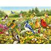 Ravensburger Puzzle da 500 Pezzi - Uccelli nel Campo