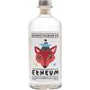 Nelson Sicily Etneum Gin Volcanic Premium 42% 70 CL By NelsonSicily