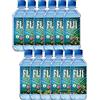 FIJI Acqua Fiji dalle isole Fiji 12 x 0,5 litri
