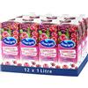 Ocean Spray mirtillo e succo di lampone bevanda, 1L scatola (confezione da 12)