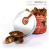 DESIDERI GR 300 CANTUCCI DI PRATO ARANCIO CIOCCOLATO E MANDORLE CANTUCCINI FRAGRANTI FAMIGLIA DESIDERI MONTECATINI