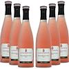 COSTARIPA PalmArgentina Vino Rosè 6 bottiglie, Vitigni Groppello, Marzemino e Moscato Rosa, Vino da Uve Mature, Colore Rosa Corallo, Note di Frutta Fresca, Vino Dolce, Moderata Gradazione Alcolica