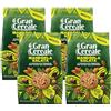 CAIYA 4X Gran Cereale Biscotti Mandorla Salata con Farina Integrale e Pepite di Cioccolato Fondente 280g