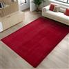Carpetsale24 Tappeto Rosso 120x160 cm Tappeto a Pelo Corto Lavabile, Antiscivolo e Morbido, Design Monocromatico Moderno per Soggiorno, Camera da Letto, Cucina e Cameretta