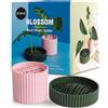 OTOTO Blossom Flower Holder Set Multicolore Taglia Unica