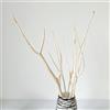 DongArts Rami Mitsumata decorativi secchi sbiancati da 53-58 cm, in legno naturale, per fai da te, decorazione per la casa, matrimoni, feste
