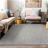 Teppium Tappeto Moderno per Soggiorno Robusto Tappeto a Ciclo Chiuso Mélange Monocolore con Struttura Tappeto Decorativo Cut-Loop per un Ambiente Raffinato, Misurare: 280 x 370 cm, Colore: Grigio