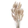 ROOBZE Coniglio Fiori Secchi Decorazione 50 Unità Naturali Bouquet, Decorazione per Camera da Letto Interno, Matrimonio Casa (Caffè Grigio)