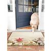 OHJEAJDS Tappeto Bagno - Tappeto multiuso antiscivolo per ingresso,cucina,camera,bagno,Soffice Tappeto Doccia,Sfondo per la fotografia in studio con immagini marine di sabbia di spiaggia,50x80 cm