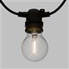 Lotti Catena di luci per Feste, 5 m, 10 lampadine in Vetro Ø 6 cm, E27, LED Bianco Caldo, Cavo Nero