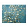Niik Stampa mandorlo in fiore di vincent van gogh 80 x 63 cm falso d'autore stampa