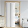 DSSHENGDS Tenda da Doccia a Fisarmonica Pieghevole Magnetica Anti-Spruzzi, Tenda divisoria per casa, Hotel, Bagno-White- 120x220cm