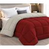 Tata Home Trapunta Invernale Tinta Unita Double Face Matrimoniale Imbottita 350 gr/mq Piumone Caldo Letto 2 Piazze 260x260 cm Bicolore Rosso Panna Mod. J