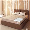 Baldiflex Topper per materasso Matrimoniale 170x200 cm in Poliuretano Altezza 3 cm, Coprimaterasso, Rivestimento Aloe Vera