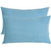 ZZDZW Set di 2 Copri Cuscini 50x70 per Divano 40x70 Copricuscino 50x80 Elasticizzato con Cerniera,Federe Moderne per Camera da Letto Decorativo Velluto A Coste Elegante(Mist Blue,30cmx80cm Set of 2)
