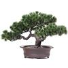 Verve Jelly Mini Piante Artificiali, Simulazione Pianta di Pino in Vaso da Espositore da scrivania Ornamenti in Vaso per Alberi Finti Pianta Verde per Ufficio Casa Decorativa Fai da Te