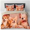 INTRECCI Copripiumino in Cotone Sogni d'Oro, Parure Copri Piumino con Federe Set Sacco Piumone Disponibile in più Fantasie (Set Sacco Matrimoniale + 2 Federe, Dis. 67 Corgi)