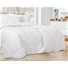 Zenoni & Colombi Piumino Piazza e mezza XL 4 Stagioni in 100% Fiocco di Piumino D'Oca Vergine Siberiano, Set Monaco Piumone Autunnale + Piumone Primaverile Made in Italy (4 STAGIONI, 200X220cm)