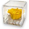 Passionefiori.it Premium-Rose Cubo Rosa Stabilizzata 10cm Vera Con Marmo di Carrara, Rosa Eterna, Idea Regalo per Lei, Natale (Gialla, 10cm)