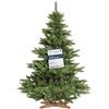 FairyTrees albero di Natale artificiale 150cm Abete Nordmann con supporto in legno | Albero di Natale artificiale con tronco verde | Facile da Montare | Prodotto in EU
