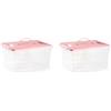 Acan Tradineur Set di 2 scatole portaoggetti trasparenti in plastica per giocattoli, libri, vestiti, coperte, 18 x 34 x 27 cm, coperchio colore pastello casuale