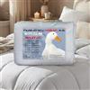 Tex family Piumino Oca Stream 500 GR. 80% Piuma Oca 20% Piumino Oca Bicolore (CM. 260X260)