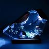 Drawelry Luce Notte Resina Epossidica Paesaggio Sottomarino 3D Artigianale, Decorazion Casa Base Legno, Mini Acquario Marino con Animali Marini Lampada per Cameretta Soggiorno Ufficio (A6)