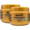 FEI FAN Maschera Illuminante OLIO SPLENDENTE My Ritual. Aiuta a Ripristinare La Morbidezza Dei Capelli, Rendendoli Incantevolmente Setosi e Migliorando La Loro Naturale Luminosità 500ml (2 Unità)