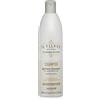 Il Salone Milano Alfaparf Shampoo a Secco - 500 ml