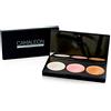 Camaleon Cosmetics - Palette illuminanti - 3 tonalità - Bianco, Rosa e Bronzo - Crema - 100% Naturale - Vegano - 1 Unità - 7,5 g