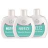 Breeze Squeeze Deodorante Profumato Unisex 48H 100 Ml (3, Breeze Deodorante Muschio Bianco)