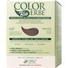 Colorerbe Multipack 6x TINTURA COLOR ERBE BIO BIONDO SCURO (6.0)-Colorazione Permanente in Gel-Senza Ammoniaca,Resorcina,Parabeni-Copertura Ottimale Capelli Bianchi-Nutre-Protegge-Illumina-MadeInItaly