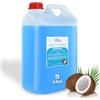 Pics Nails Cleaner Unghie Sgrassatore Gel 5 L. - MAXI - Nail Cleaner Sgrassante per Unghie Professionale Ideale per Pulizia Unghie e Rimozione dello Strato di Dispersione (Appiccicoso) (5 Litri, Cocco)