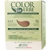 Colorerbe Tintura con estr. bio Biondo Dorato Rame (8.34)-Colorazione Permanente in GelSenza Ammoniaca,Resorcina,ParabeniCopertura Ottimale Capelli BianchiNutreProteggeIllumina'MadeInItaly
