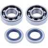 GTWSQQ 51 55 Kit guarnizioni cuscinetto paraolio albero motore pistone 45 mm 46 mm adatto for H=usqvarna 50 51 55 for EPA for motosega Rancher 503573806(Bearing Kit)